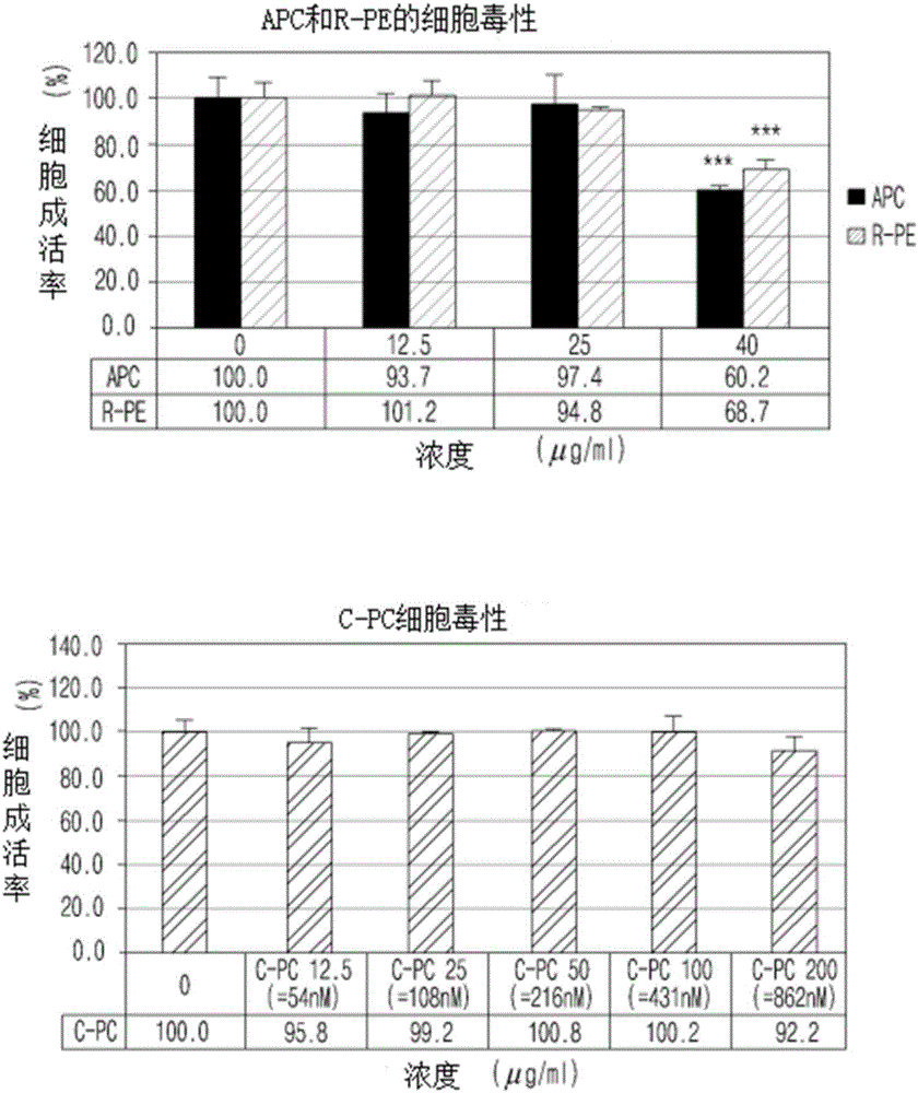 Pharmaceutical composition containing spirulina maxima extract as active ingredient for preventing and treating retinal diseases