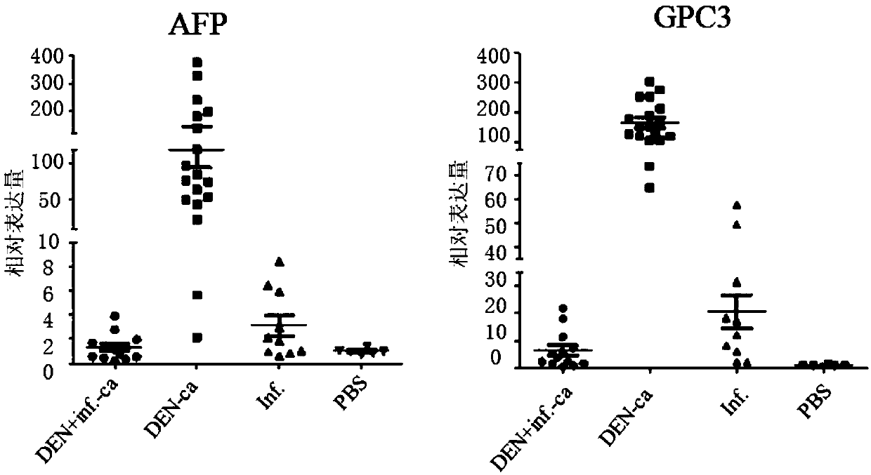 Schistosoma japonicum infection, and application of components of schistosoma japonicum to prevention and treatment of human tumors