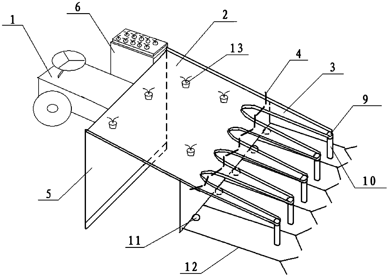 A rice seedling-planting tray and its seedling raising method and application