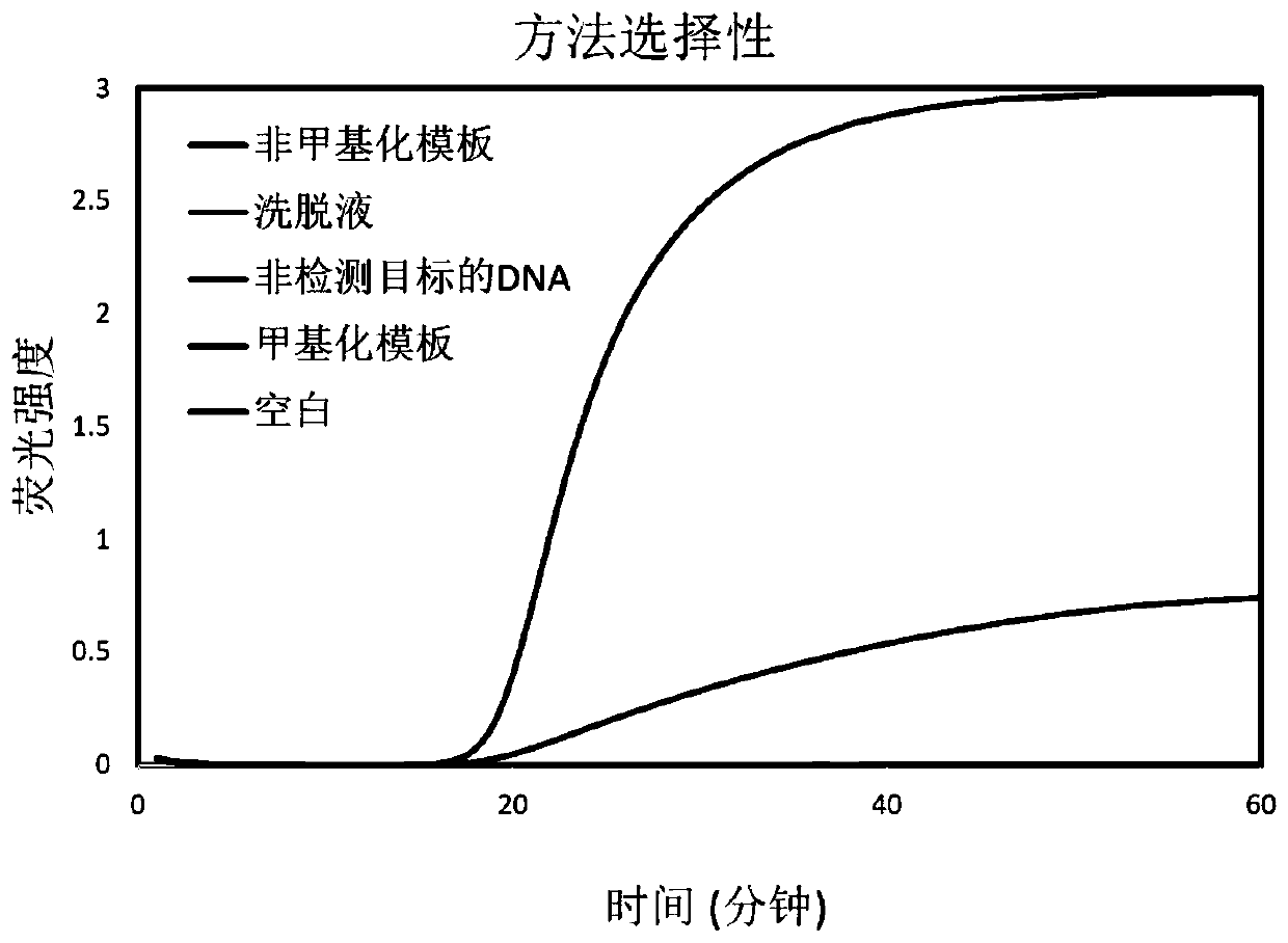 Single-site DNA methylation detection kit