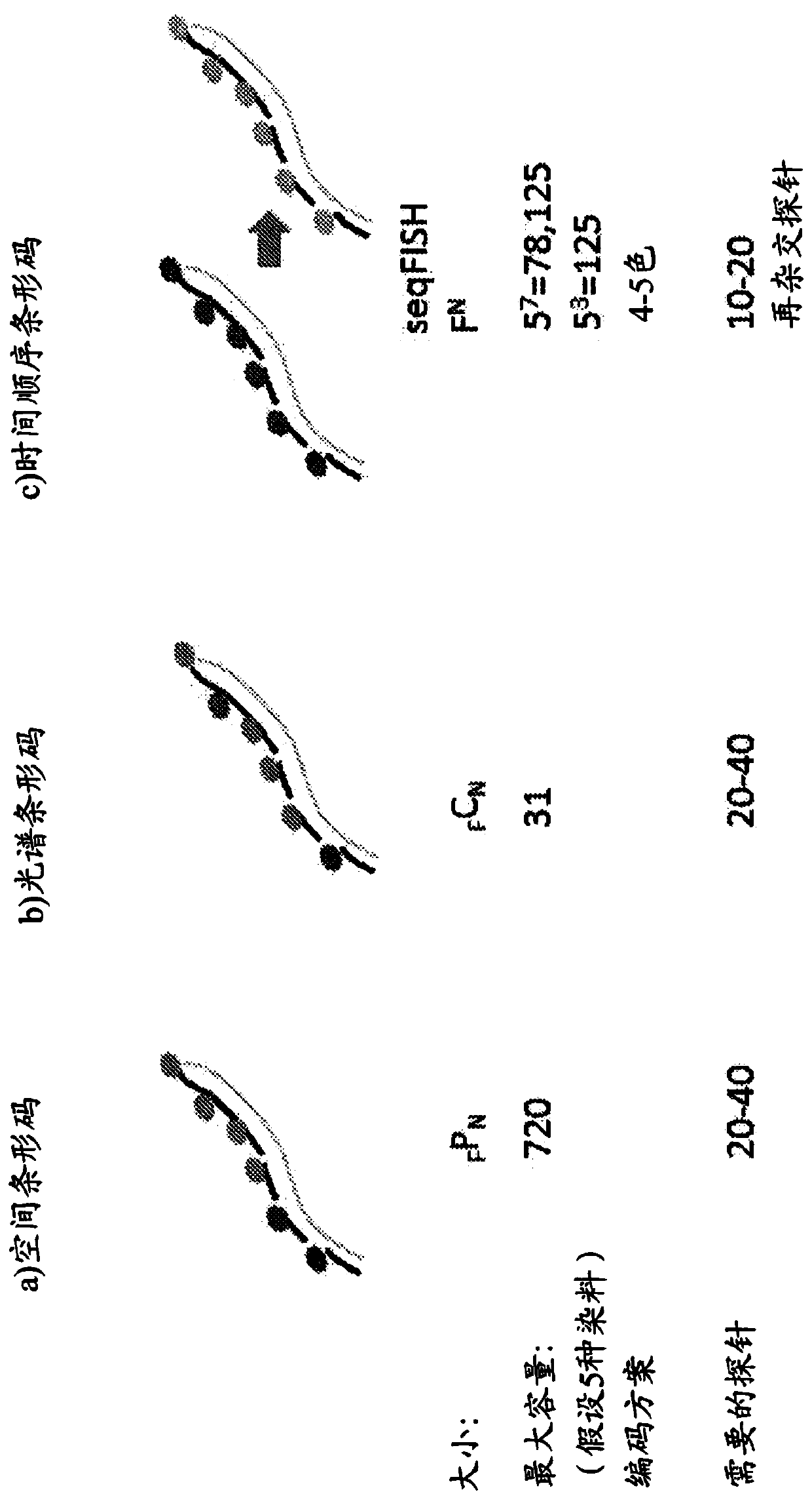 Sequential probing of molecular targets based on pseudo-color barcodes with embedded error correction mechanism