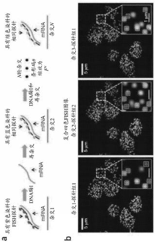 Sequential probing of molecular targets based on pseudo-color barcodes with embedded error correction mechanism