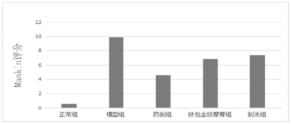 Experimental method for rabbit KOA model chondrocytes by adopting medicine scraping method