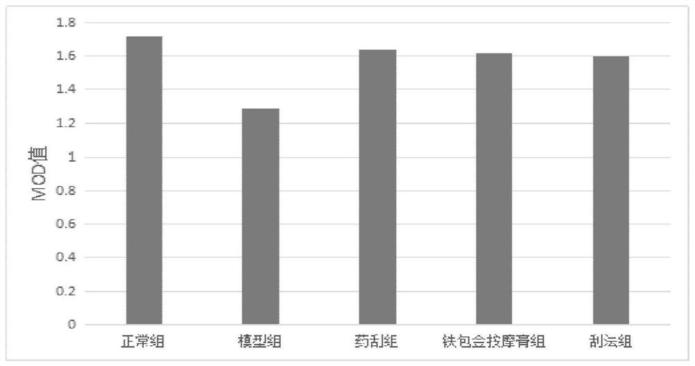 Experimental method for rabbit KOA model chondrocytes by adopting medicine scraping method