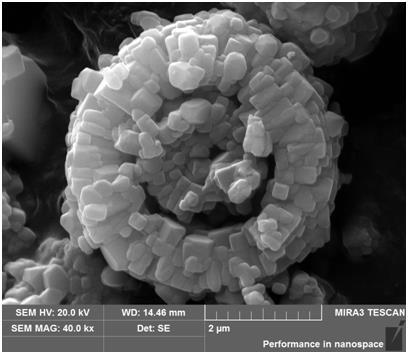 Preparation method of double-shell spherical lithium-rich layered oxide positive electrode material with radially arranged crystal grains