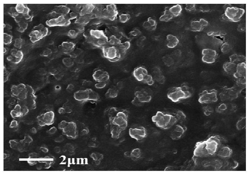 Organic-inorganic composite coating film on the surface of metal lithium negative electrode and preparation method thereof