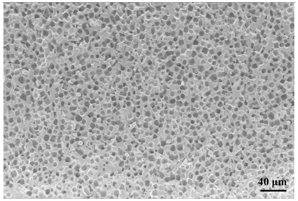 Porous polydimethylsiloxane with daytime radiation refrigeration function, and preparation method thereof