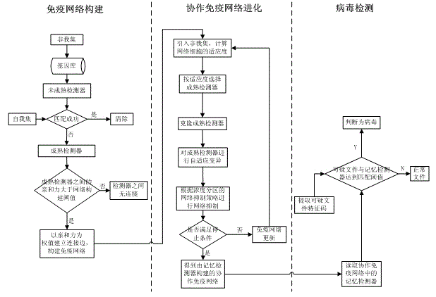 Virus detection method based on collaborative immune network evolutionary algorithm