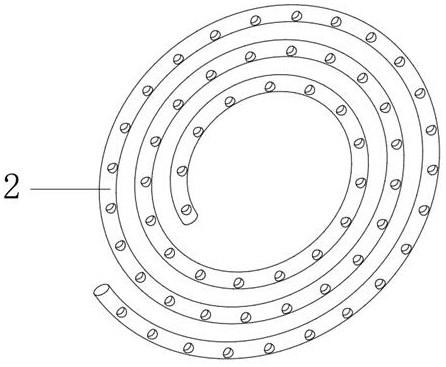 Drying device for preserved fruit processing