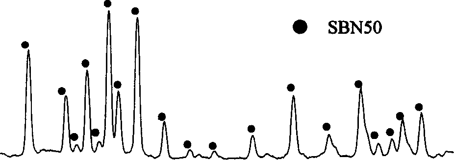 Method for preparing barium-strontium niobate powder and barium-strontium niobate film by organic gel method