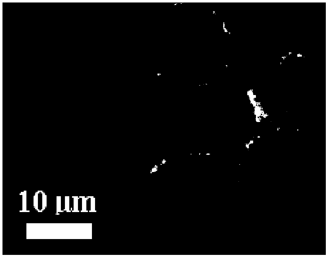 Method for preparing phospholipid vesicle by utilizing highly oriented pyrolytic graphite