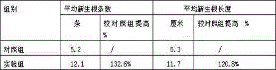 A kind of slow-release peony rooting agent composition for transplanting