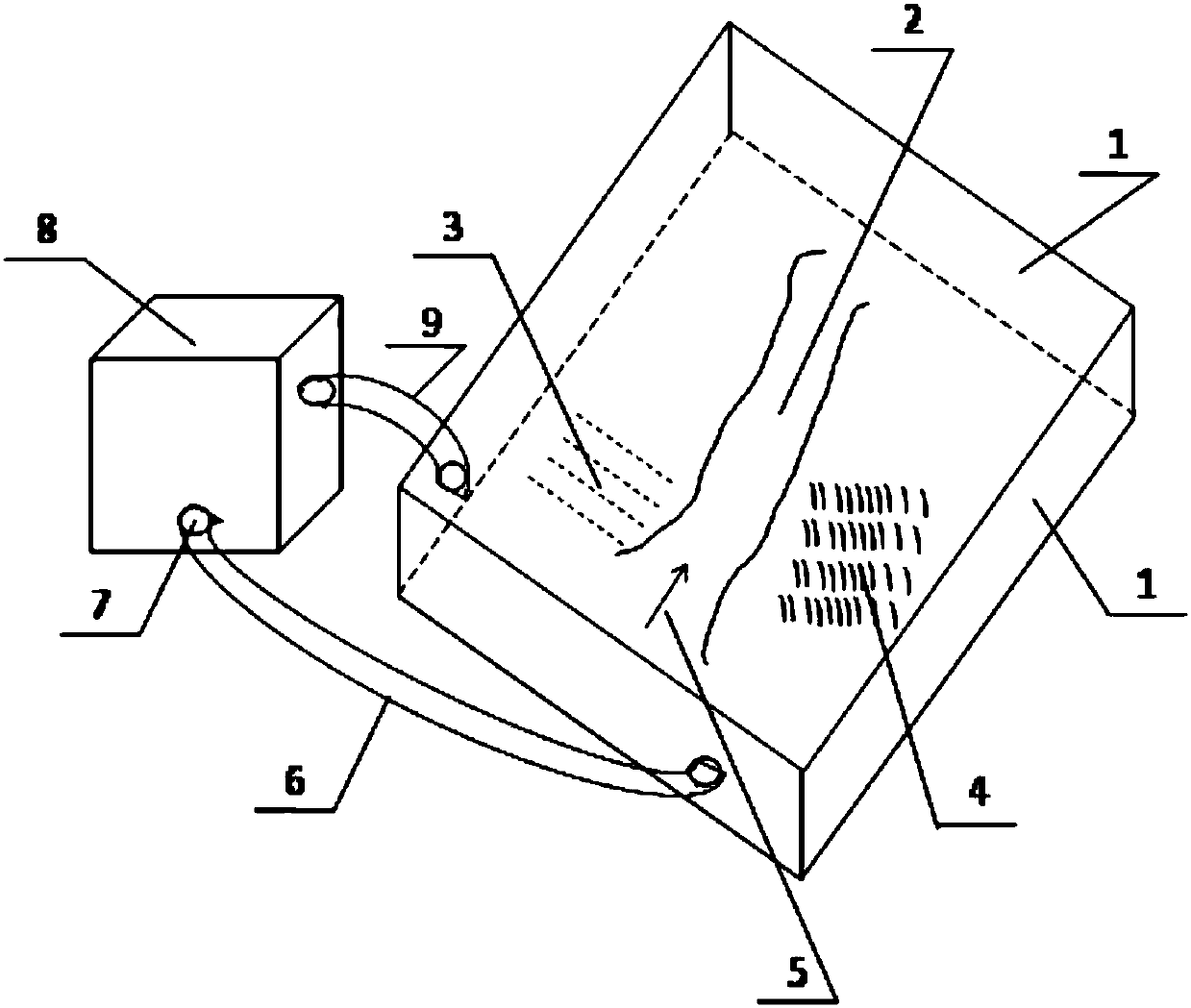 Controlled experimental apparatus for simulating beach fish perch habitat, and construction method thereof