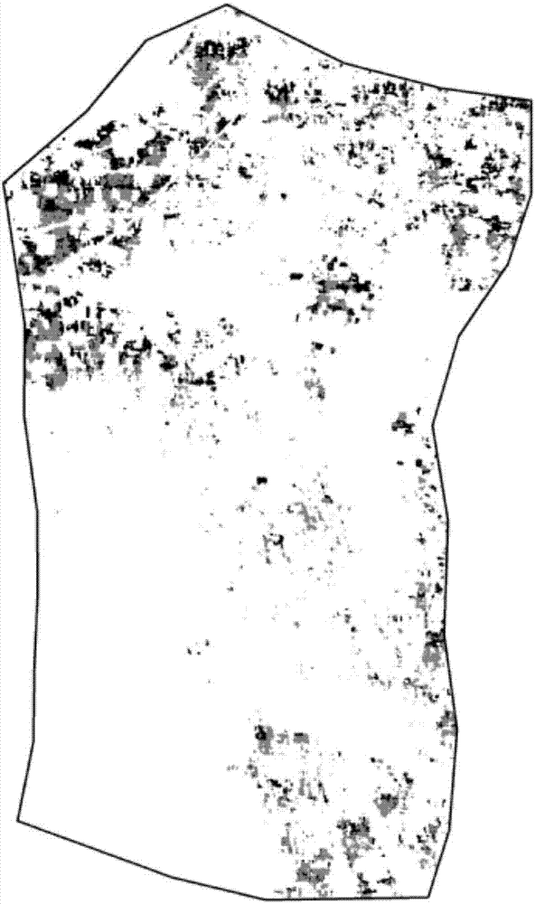 Winter wheat powdery mildew remote sensing monitoring method based on wavelet analysis and support vector machine