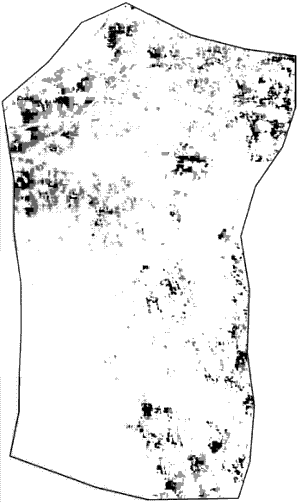 Winter wheat powdery mildew remote sensing monitoring method based on wavelet analysis and support vector machine