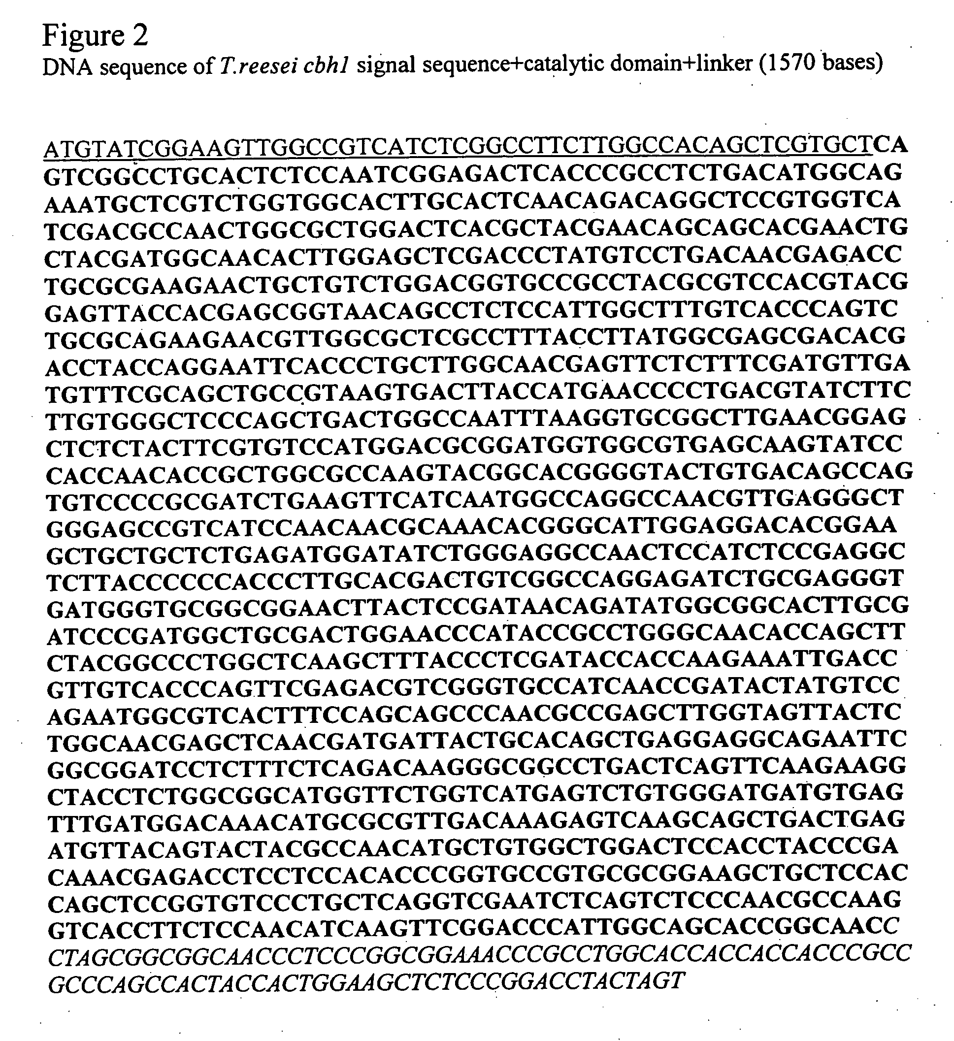 Exo-endo cellulase fusion protein