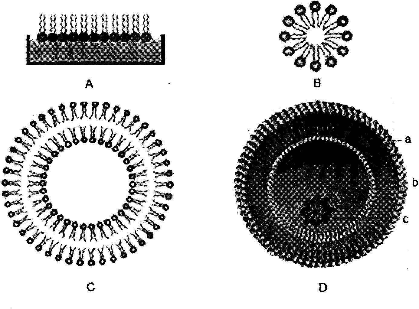 Process for preparing antibody for small molecular substance using nanoliposome immune adjuvant