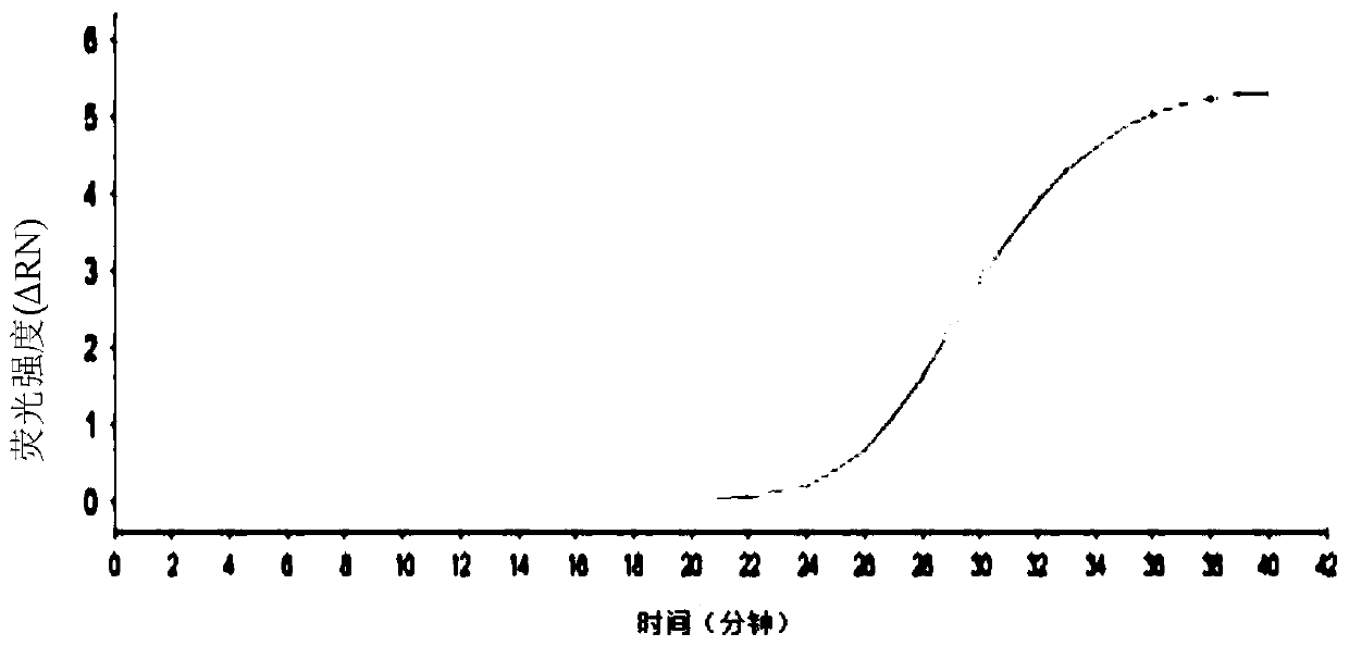 Detection test kit for virus inactivation, capture and real-time fluorescence isothermal amplification and application thereof