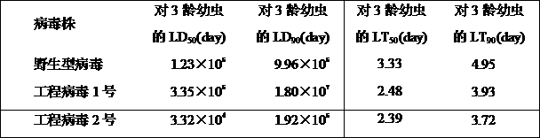 Prodenia litura genetically engineered virus NO.2 and construction method thereof