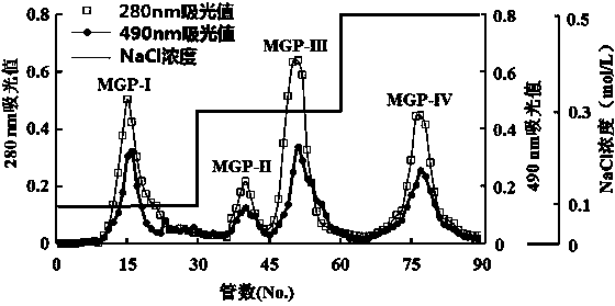 Prostatic cancer-resistant mussel glycoprotein and preparation and application thereof