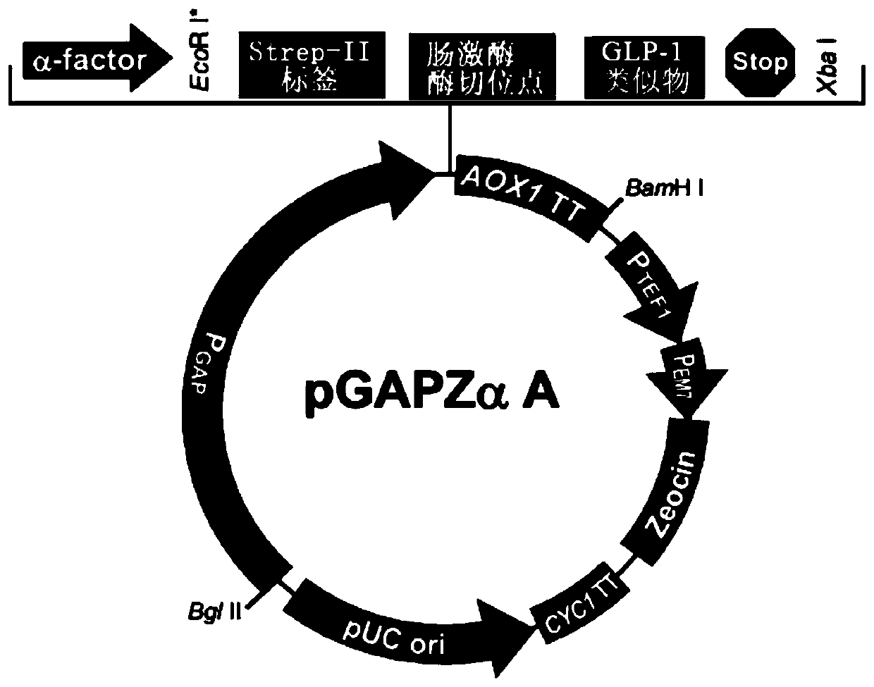 Glucagon-like peptide-1 analogs and uses thereof