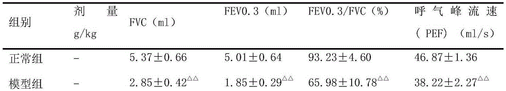 Chinese herbal compound composition for treating lung diseases and preparation method thereof