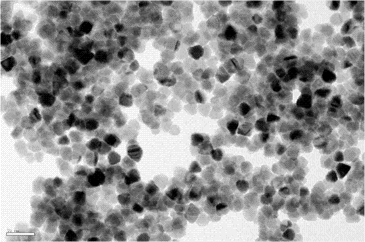 Preparation method of copper indium selenide nanocrystalline material