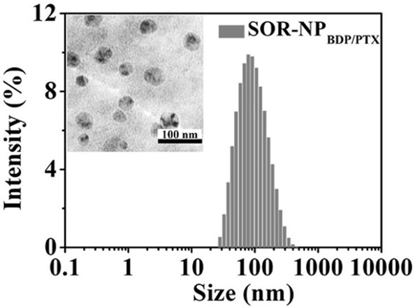 Preparation and application of red light induced singlet oxygen response polymer nano anti-cancer drug