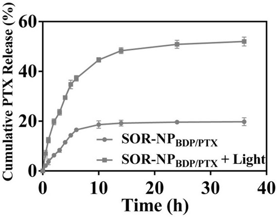 Preparation and application of red light induced singlet oxygen response polymer nano anti-cancer drug