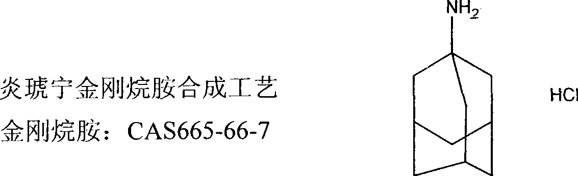 Method for preparing andrographolide derivatives and preparation thereof