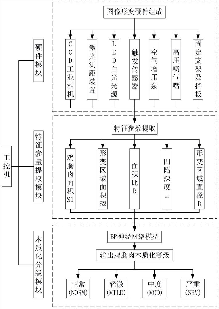 A grading system and grading method for lignification degree of chicken breast meat based on image deformation features