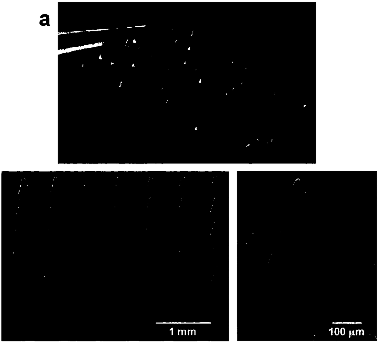 3D printing microneedle patch for intelligent blood sugar regulation and a preparation method thereof