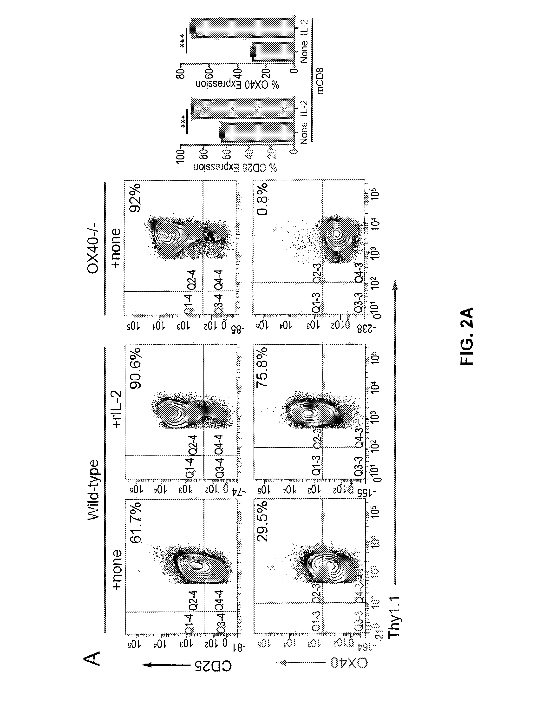 Dual ox40 agonist/il-2 cancer therapy methods