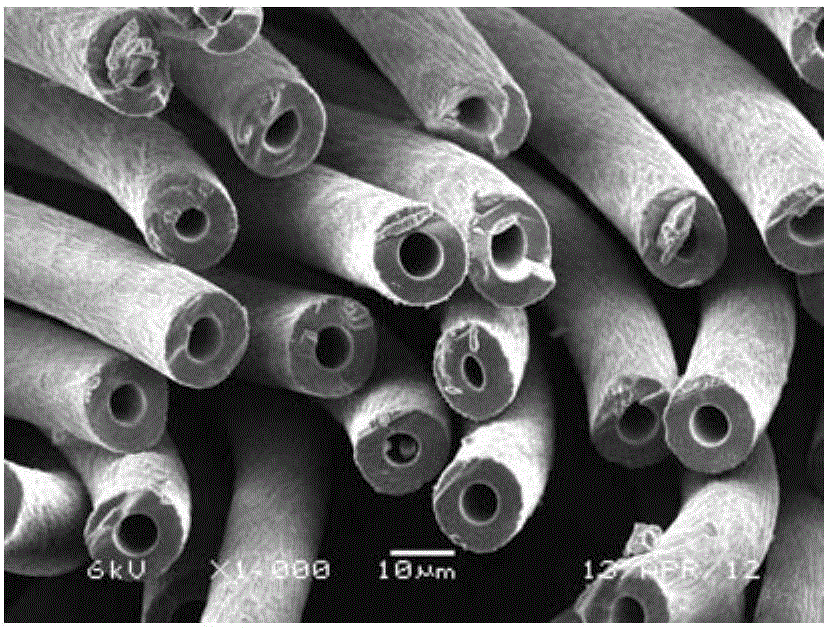 Method for regulating and controlling homogenization degree of polyacrylonitrile preoxidized fiber