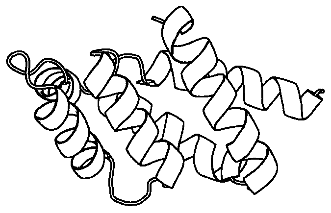 Multi-variation strategy protein structure prediction method combined with evaluation of exclusion degree