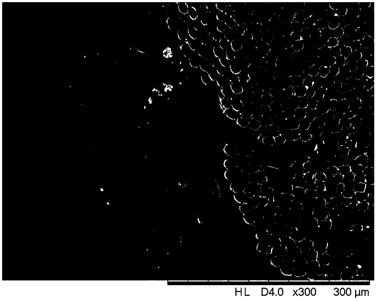 A kind of preparation method of reinforced poly-m-phenylene isophthalamide hollow fiber membrane