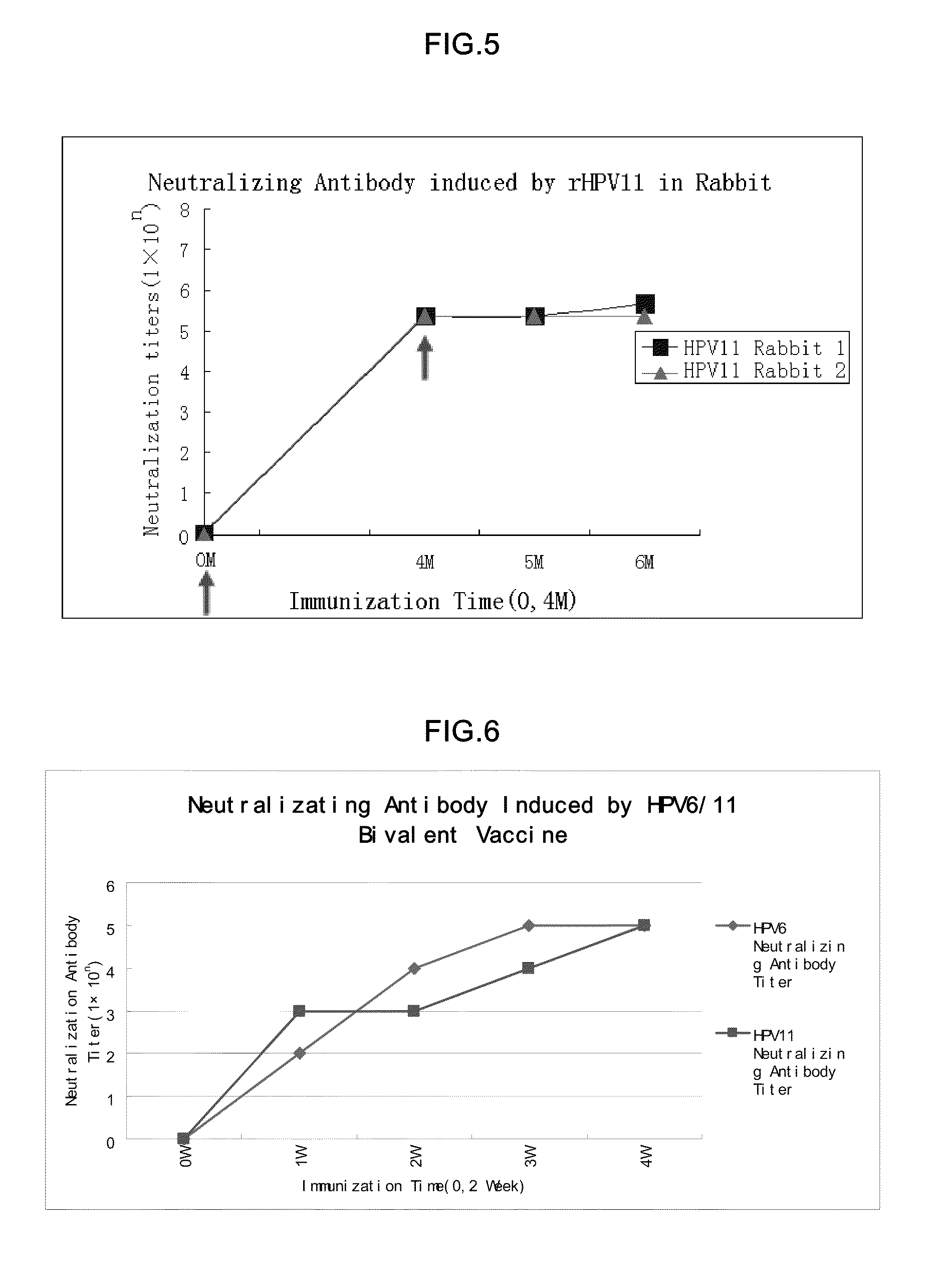 Truncated l1 protein of human papillomavirus type 11