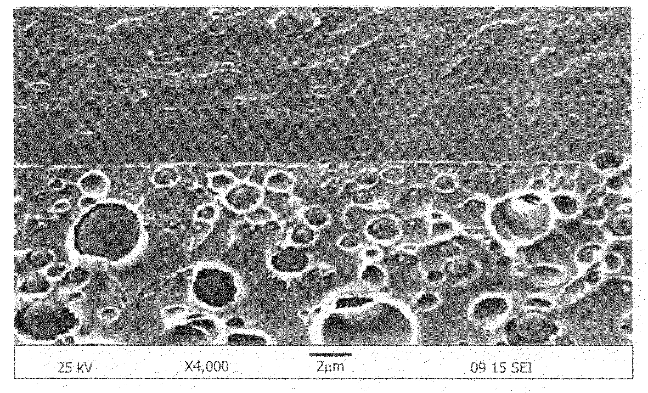 Polymer blend membranes for fuel cells and fuel cells comprising the same