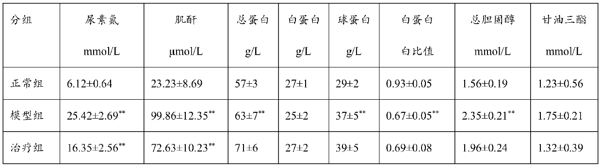 Phellinus igniarius fruit body extract product, and applications thereof in preparation of drugs for treating chronic renal failure