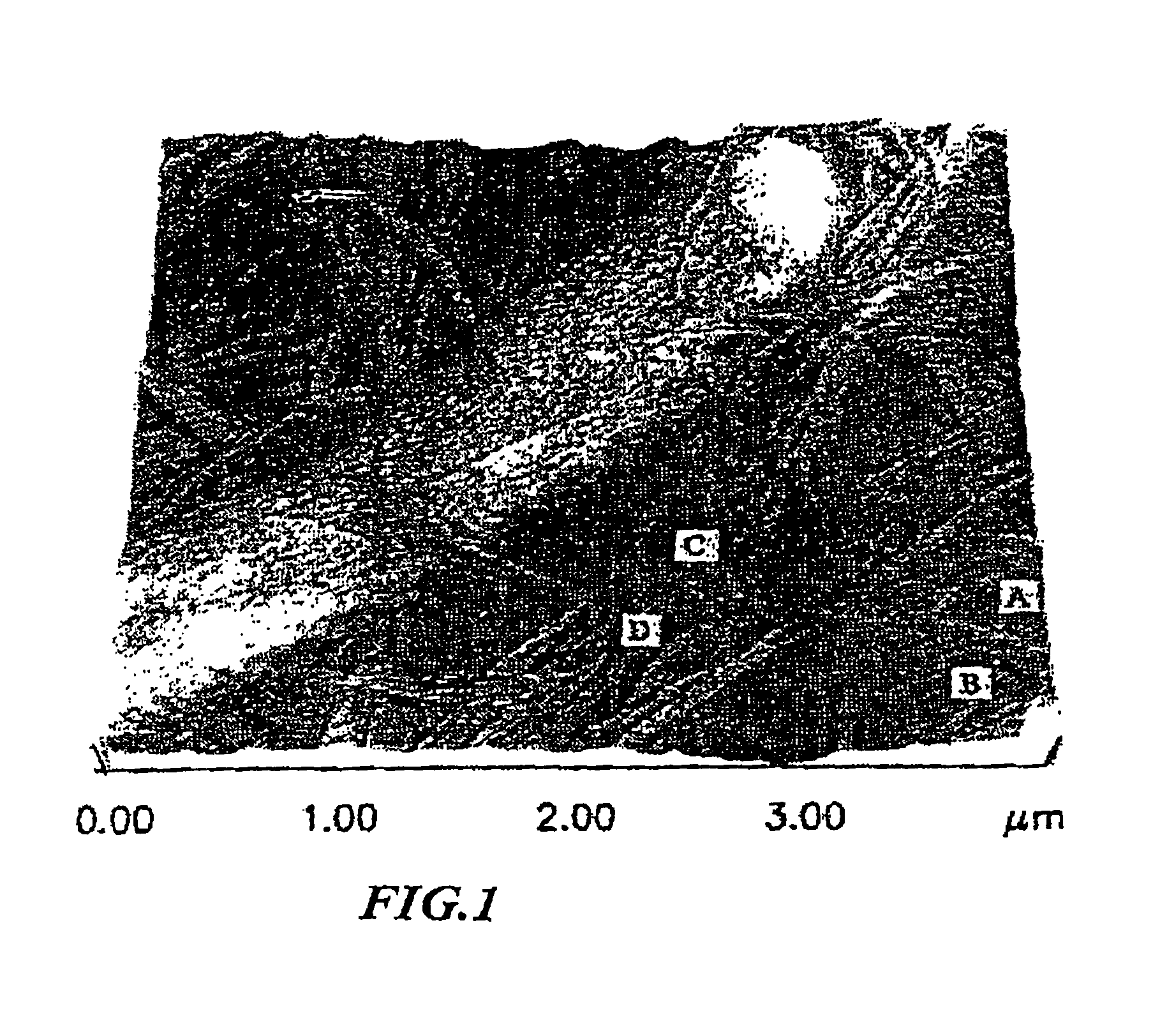 Modified bacterial cellulose