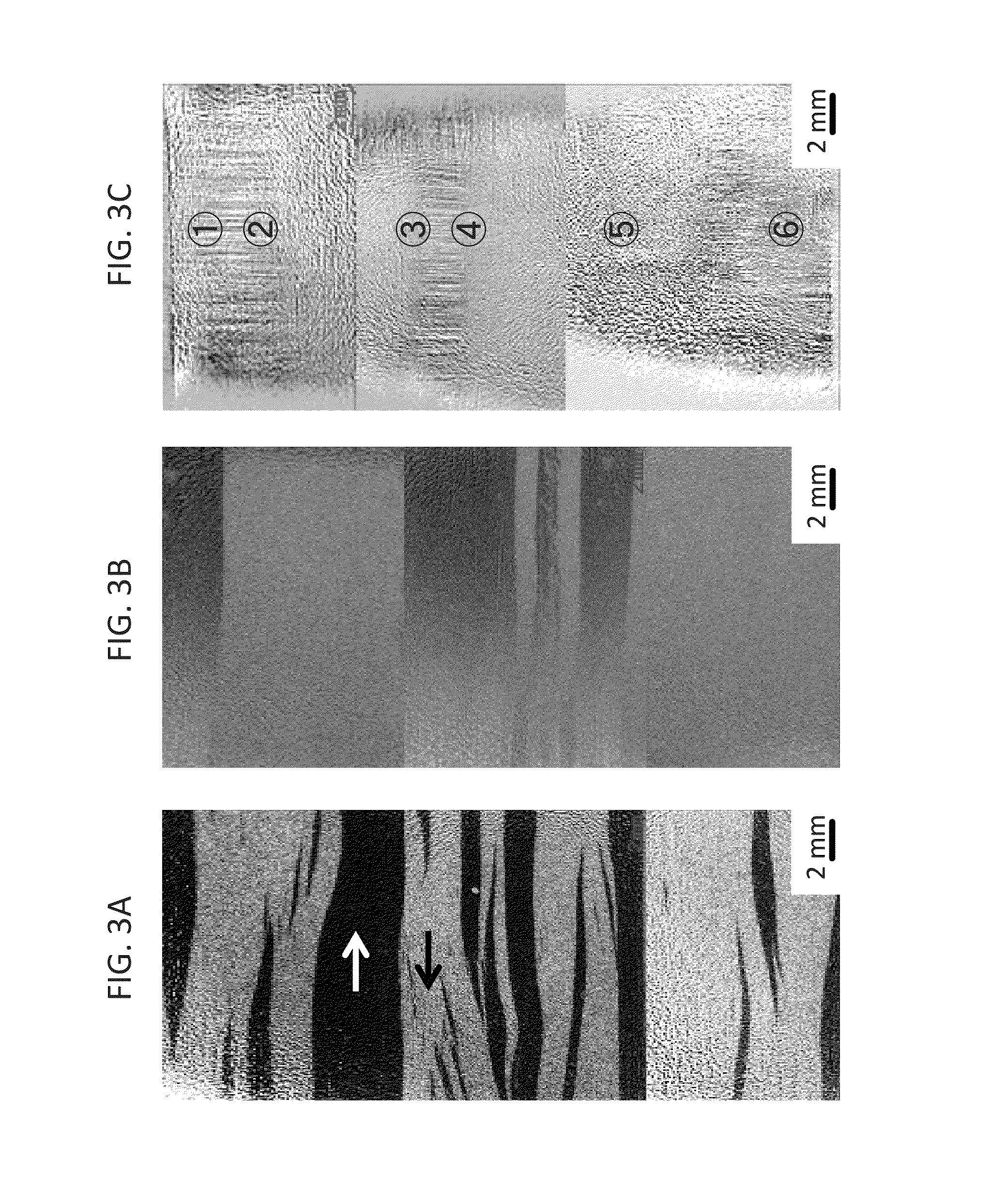 Nanocrystalline magnetic alloy and method of heat-treatment thereof