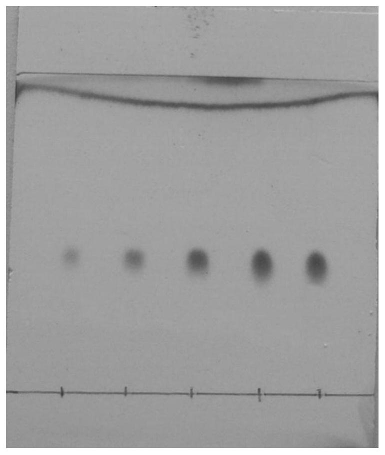 Preparation method of high-purity Rosavin