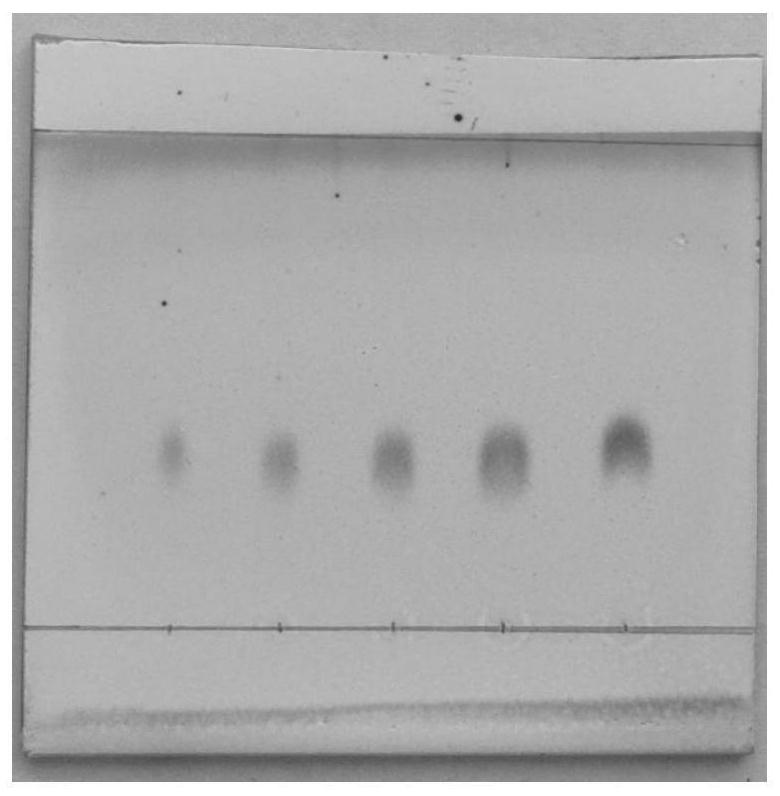 Preparation method of high-purity Rosavin