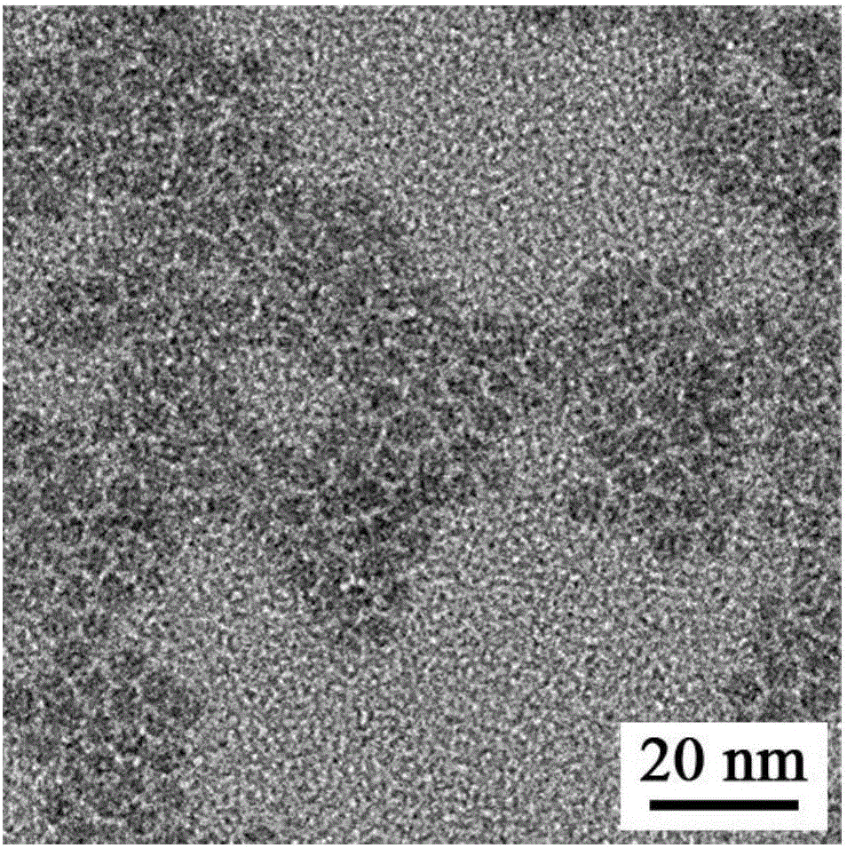 Silver sulfide quantum dot and preparation method and application thereof