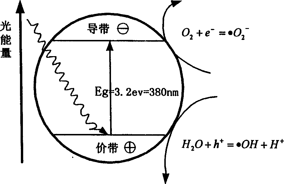 Vertical light catalytic air purifier