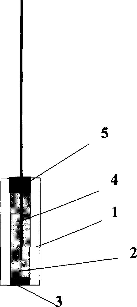 Pressure adaptive dissolving carbon dioxide exploring electrode and preparation method