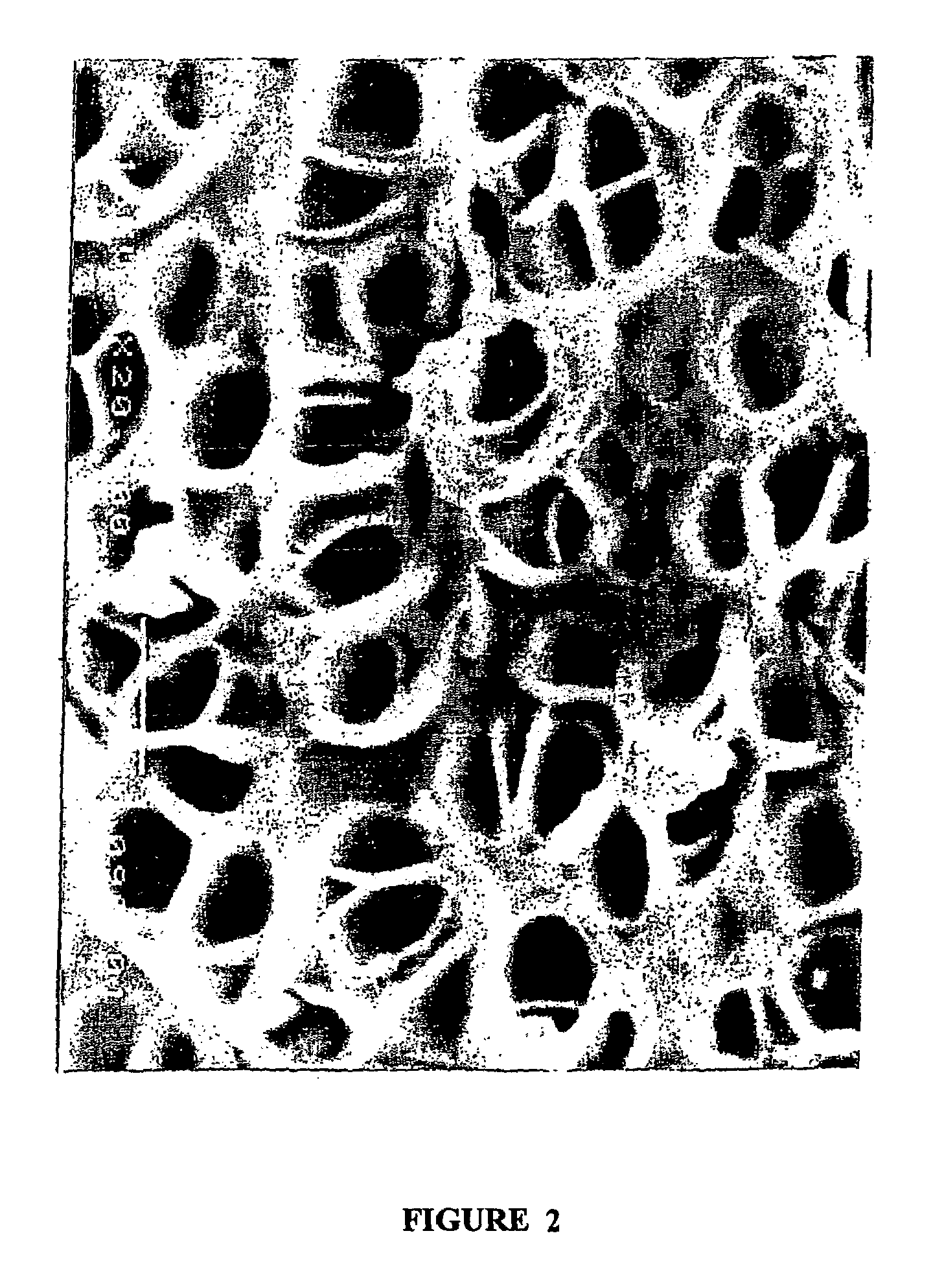 Membrane and the use thereof