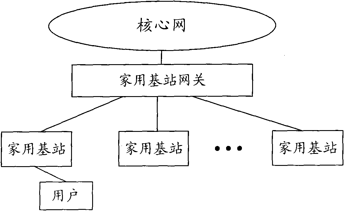 Processing method for access mode of user terminal