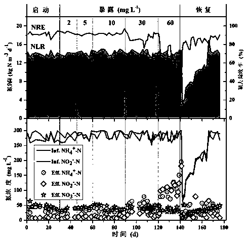 Operating method for processing wastewater containing nano nickel oxide through anaerobic ammonia oxidation technology