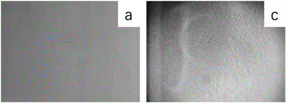 Acetylene benzene azo biphenyl phenolic resin/epoxy modified silicone resin ablation-resistant protection coating and preparation method thereof